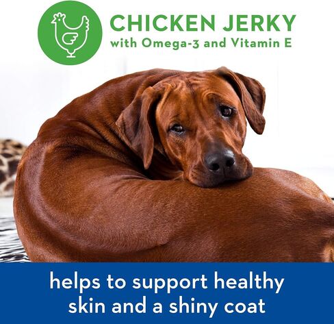 Spot Farms Chicken Jerky Healthy All Natural Dog Treats Human Grade For Skin And Coat 12 oz in Saudi Arabia