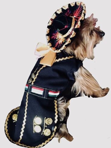 Mariachi girl dog costume (L) in Kuwait
