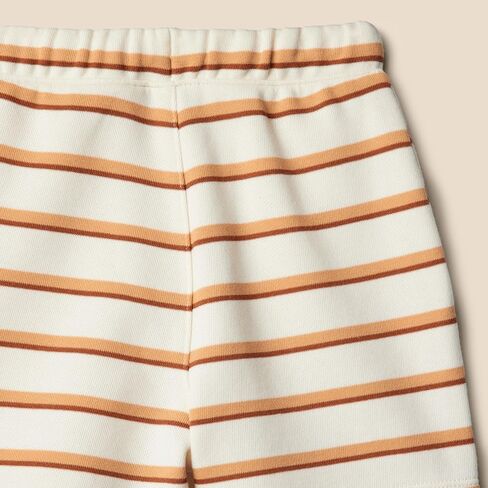 Amazon Essentials x Sofia Grainge Toddlers and Baby Boys' Pull On Knit Shorts, Pack of 2 in Kuwait