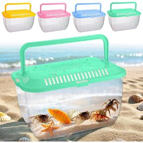 Palksky Catch and Fear Beach Aquarium ، وعاء أسماك بلاستيكي شفاف من 4 عبوات مع أغطية التهوية ، وحاوية الأسماك المحمولة لجمع المخلوقات البحرية ، والأسماك الصغيرة ، وسرطان البحر - صغيرة