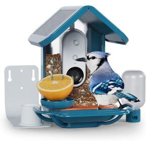 Bird Buddy Pro Smart Feeder Deluxe Bundle-وحدة تغذية الطيور الشمسية مع كاميرا + جدار جدار ، مجموعة التغذية 3 في 1 وتوسيع جثم-مجموعة مراقبة الطيور في الهواء الطلق مع معرف الطيور AI ، HD