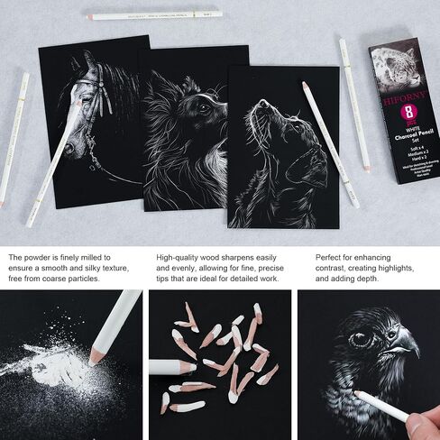 HIFORNY 10 Pieces Colored Charcoal Pencils for drawing- Black White Charcoal Pencils for Sketching,Shading,Blending,Portrait - Ideal for Beginners & Artists in Kuwait