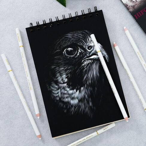 HIFORNY 10 Pieces Colored Charcoal Pencils for drawing- Black White Charcoal Pencils for Sketching,Shading,Blending,Portrait - Ideal for Beginners & Artists in Kuwait