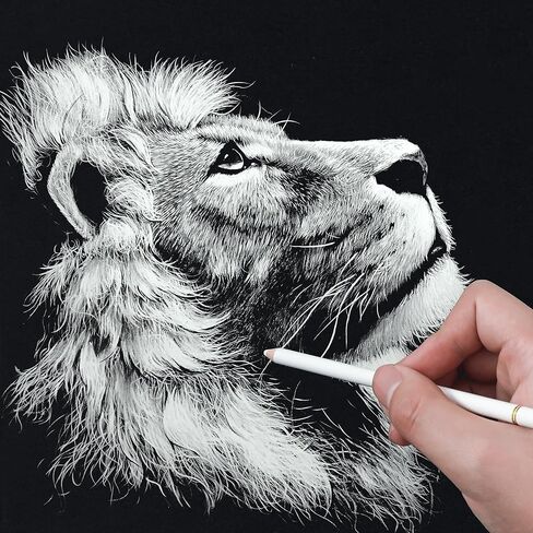 HIFORNY 10 Pieces Colored Charcoal Pencils for drawing- Black White Charcoal Pencils for Sketching,Shading,Blending,Portrait - Ideal for Beginners & Artists in Kuwait