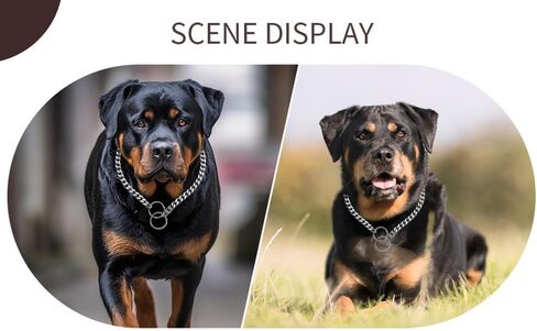 الكلاب خنق كلاب الكلاب سلسلة أطواق قلادة معادن زلة الثقيلة رابط التدريب طوق PET PUPPY MARTINGAL in Kuwait