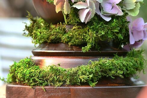 SuperMoss (22711 MossVine Garland, Fresh Green, 12ft in Kuwait
