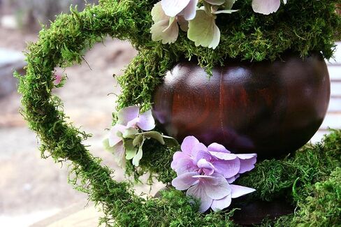 SuperMoss (22711 MossVine Garland, Fresh Green, 12ft in Kuwait