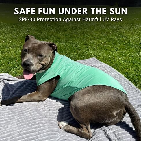 Spark Paws Sunblock Dog T-Shirt, SPF30 Protection, Lightweight Breathable Quick Dry for Dogs with Sensitive Skin - Bees & Flamingo (Set of 2) - Size 3XL in Kuwait