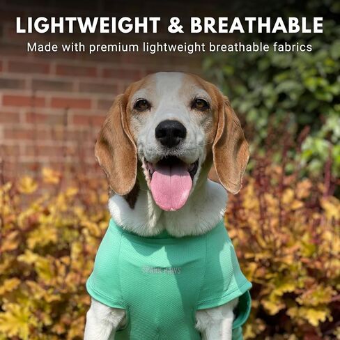 شرارة الكلب الكلب تي شيرت ، وسرعة جافة ناعمة ، وذات الوزن الخفيف للكلاب مع الجلد الحساس - الأزرق والرمادي (مجموعة 2) - 3XL in Kuwait