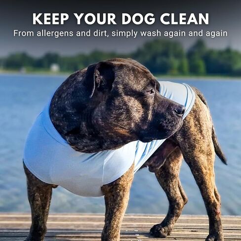 شرارة الكلب الكلب تي شيرت ، وسرعة جافة ناعمة ، وذات الوزن الخفيف للكلاب مع الجلد الحساس - الأزرق والرمادي (مجموعة 2) - 3XL in Kuwait