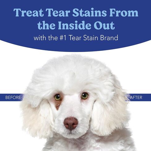 Angels’ Eyes Natural Plus Tear Stain Supplement Sweet Potato Powder for Dogs, Prevent Stained Fur, Eyebright, Olive Leaf, Marshmallow Root, No Wheat or Corn, Limited Ingredients, Vegetarian, 75g in Kuwait