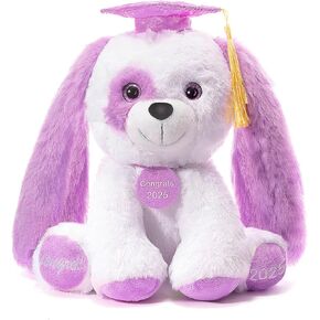 تخرج تيدي بير أفخم مع غطاء ودبلوم ، 8 بوصات (أسود) in Kuwait