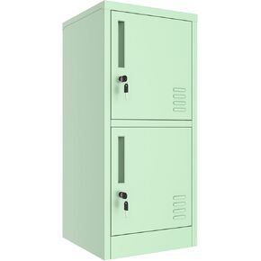 2 Door Metal Locker Storage Cabinet with Locking Doors and Shelves File Cabinet Organizer Suitable for Office, Home, Living Room (Black)