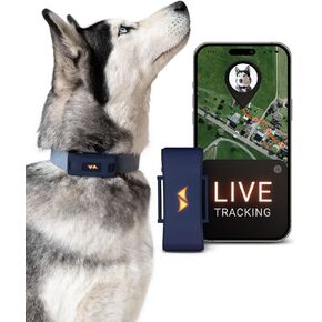 PAJ GPS Tracker للكلاب - طوق GPS 4G مع تتبع الموقع في الوقت الفعلي وتنبيه هارب - مقاوم للماء وما يصل إلى 10 أيام عمر البطارية - يناسب أي طوق مع مصابيح LED متوهجة - الاشتراك مطلوب - رمادي