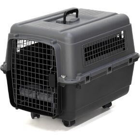 Sportpet Designs الطيران البلاستيكية معتمدة من Kennels Door Door Dog Dog Crate ، متوسط