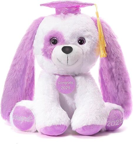 تخرج تيدي بير أفخم مع غطاء ودبلوم ، 8 بوصات (أسود) in Kuwait