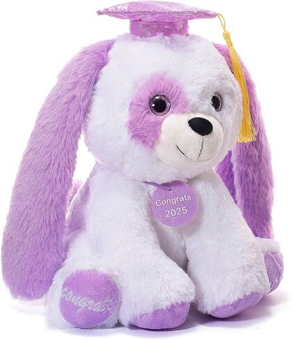 تخرج تيدي بير أفخم مع غطاء ودبلوم ، 8 بوصات (أسود) in Kuwait