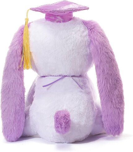 تخرج تيدي بير أفخم مع غطاء ودبلوم ، 8 بوصات (أسود) in Kuwait