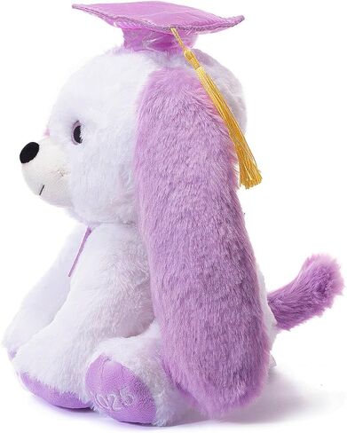 تخرج تيدي بير أفخم مع غطاء ودبلوم ، 8 بوصات (أسود) in Kuwait