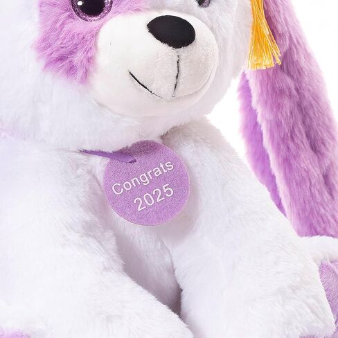 تخرج تيدي بير أفخم مع غطاء ودبلوم ، 8 بوصات (أسود) in Kuwait