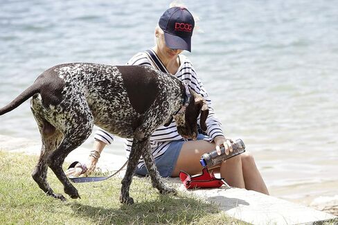 DOOG - Dog Owners Outdoor Gear 3-in-1 Water Bottle Plus Drink Insulator Plus Dog Water Bowl - 3 * 3 * 8.5 in Kuwait