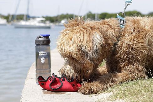 DOOG - Dog Owners Outdoor Gear 3-in-1 Water Bottle Plus Drink Insulator Plus Dog Water Bowl - 3 * 3 * 8.5 in Kuwait
