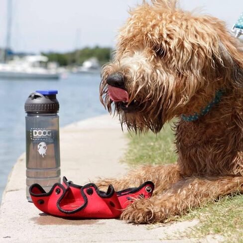 DOOG - Dog Owners Outdoor Gear 3-in-1 Water Bottle Plus Drink Insulator Plus Dog Water Bowl - 3 * 3 * 8.5 in Kuwait