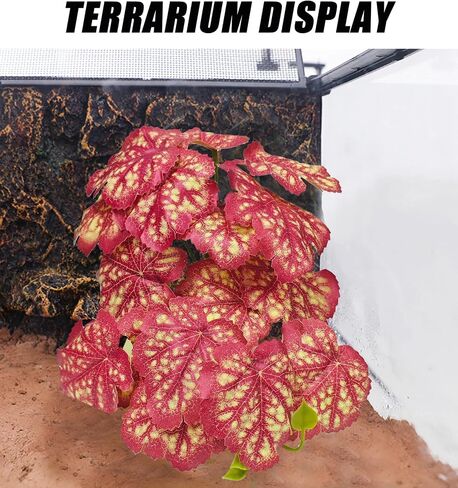 نباتات الزواحف Woyrise لديكور terrarium ، الكرة python ملحقات دبابات الملاحين الملتحي التنين Crested Leopard Gecko Lizard Chameleon Snake Frog Tortois in Kuwait