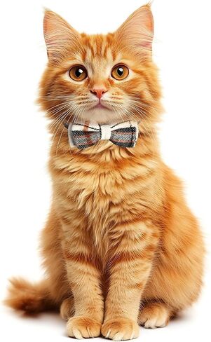 Cat Collar with Bells Kitten Collars Breakaway with Bow Tie QR Code (Blue) in Saudi Arabia