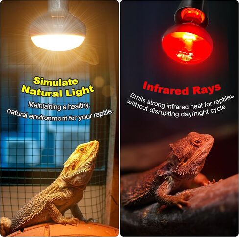 MIXJOY 100W Infrared Heat Lamp Bulbs, 2 Pack Reptile Infrared Heat Emitter Red Heat Lamp Bulbs Infrared Basking Light Bulbs for Reptiles, Bearded Dragon, Lizard, Tortoise, Chickens, Pets in Kuwait