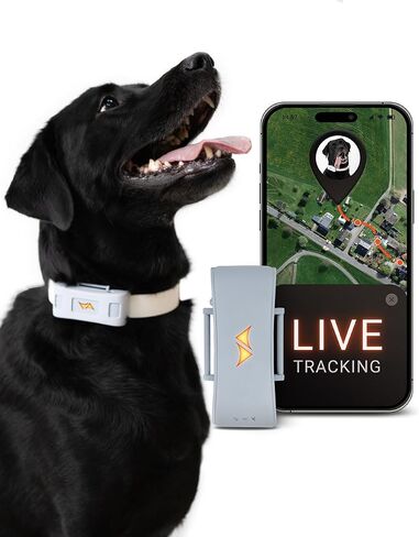 PAJ GPS Dog Tracker - 4G Real-Time Tracking & Runaway Alerts - Waterproof, Long-Range, Smart App Monitor Health & Activity - Fits Any Collar, Mini Device Navigator Chip - Subscription Required - Black in Kuwait