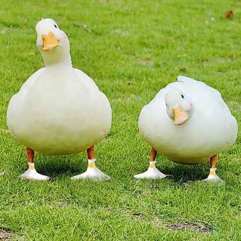 20 Pcs Disposable Booties for Duck Feet, Bumble Foot Wound Care Treatment for Real Duck Pet Duck Supplies with Green Bandage, Large Size in Saudi Arabia