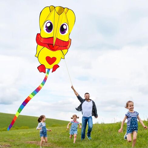 HENGDA KITE Soft Kite for Kids Beginners Kites and Adults,Well Made,Cute Design,Easy to Carry and Assemble in Kuwait