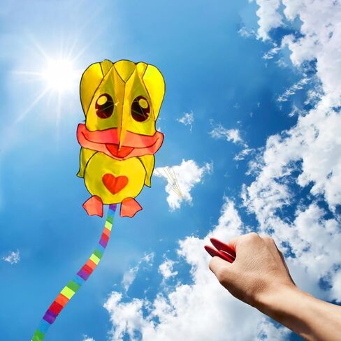 HENGDA KITE Soft Kite for Kids Beginners Kites and Adults,Well Made,Cute Design,Easy to Carry and Assemble in Kuwait