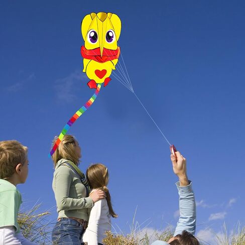 HENGDA KITE Soft Kite for Kids Beginners Kites and Adults,Well Made,Cute Design,Easy to Carry and Assemble in Kuwait