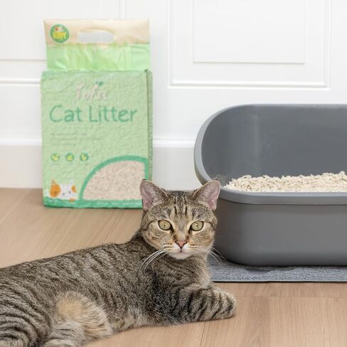 Kitty City Crystals Cat Litter 6LB in Saudi Arabia
