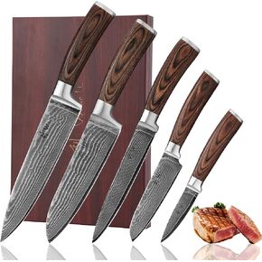 Wakoli Damascus Kitchen Knife Set, 4 Pieces Professional Chef Knife Set made from 67 Layers of Damascus Steel with VG10 Core, Knives Set for Kitchen with Pakkawood Handles in Gift Box (EDIB 4-pcs)