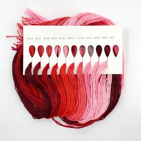 10-Color Gradient Embroidery Floss Set | 6 Color Families (Red, Yellow, Blue, Green, Brown, B&W) | 60 Pre-Sorted Skeins, 6-Strand Threads (1.2m Each) for Sewing & Crafts (Zhenqing 69023)