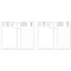 Brownline® 2025 Daily Desk Calendar Refill, 12 Months, January to December, 6" x 3.5" (C2R-25) (Pack of 2)