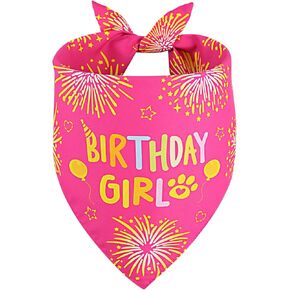 Dog Birthday Bandana Girl Pink XLarge 1PCS, Durable Triangle Reversible Scarf Bibs Handkerchief for Puppy Pet