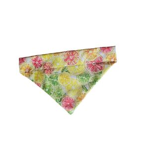 فاكهة الحمضيات على Bandana الكلب ذي الياقات التي تنزلق على حجم الياقات البيضاء الحالية (صغيرة)