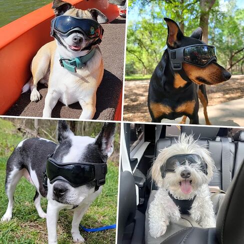 Dog Goggles Dog Sunglasses for Small Breed UV Protection Windproof with Adjustable Head Straps Chin Straps for Ride Car/Hiking Travel/On Beach-Black in Saudi Arabia