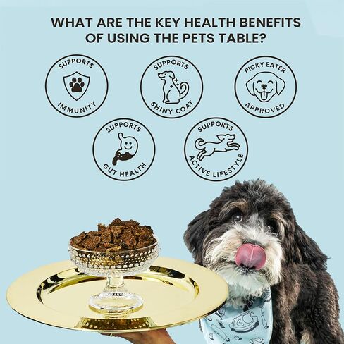 The Pets Table Beef & Berries Grain-Free Air-Dried Dog Food, 16-Ounce Bag in Saudi Arabia