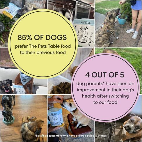 The Pets Table Beef & Berries Grain-Free Air-Dried Dog Food, 16-Ounce Bag in Saudi Arabia