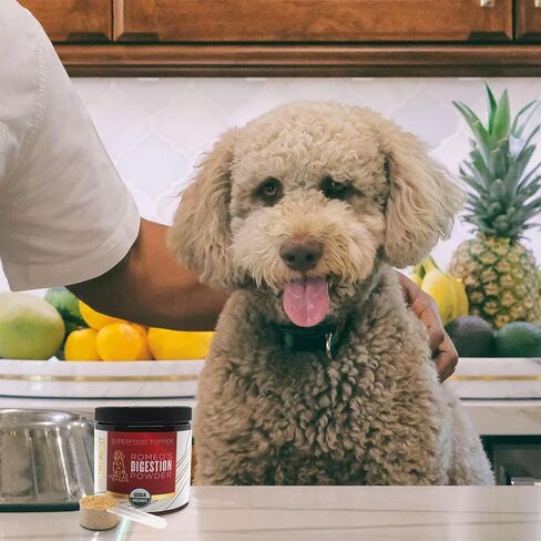 Organic Lions Mane Mushroom Powder for Dogs & Cats – Support Cognition – USDA Organic Fruiting Body Extract, 45 Servings in a Resealable Jar in Saudi Arabia
