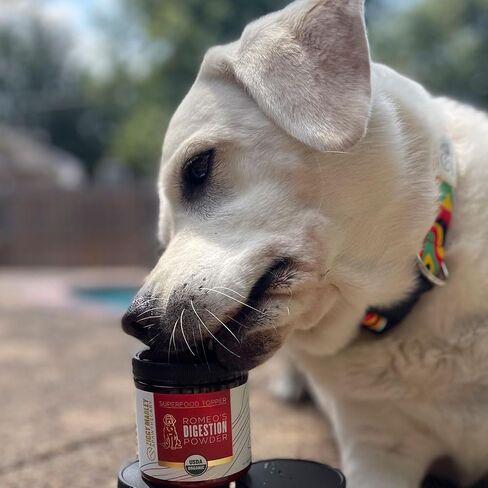 Organic Lions Mane Mushroom Powder for Dogs & Cats – Support Cognition – USDA Organic Fruiting Body Extract, 45 Servings in a Resealable Jar in Saudi Arabia