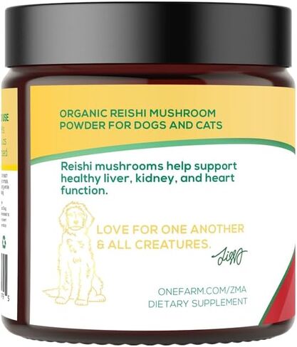 Organic Lions Mane Mushroom Powder for Dogs & Cats – Support Cognition – USDA Organic Fruiting Body Extract, 45 Servings in a Resealable Jar in Saudi Arabia