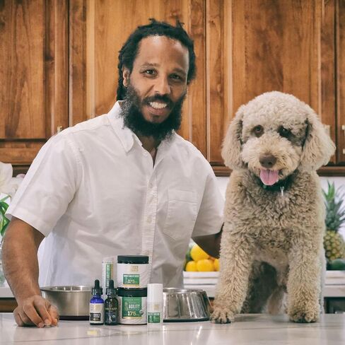 Organic Lions Mane Mushroom Powder for Dogs & Cats – Support Cognition – USDA Organic Fruiting Body Extract, 45 Servings in a Resealable Jar in Saudi Arabia