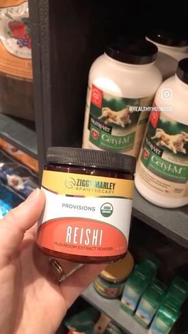 Organic Lions Mane Mushroom Powder for Dogs & Cats – Support Cognition – USDA Organic Fruiting Body Extract, 45 Servings in a Resealable Jar in Saudi Arabia