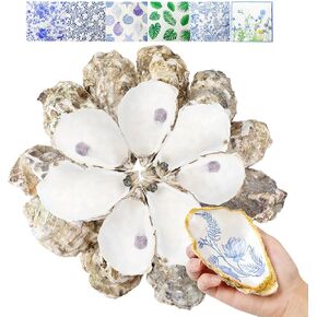 LARDUX 24 PCS Oyster Shells for Crafts, 5"-6" Large Natural Sea Oyster Shells Bulk for Crafting Painting, Home Decor Vase Filler, DIY Arts with 6 PCS Decoupage Paper Napkin (Large Size)